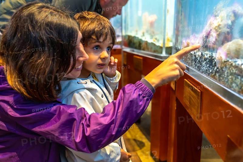 Mother pointing at fish tank, sharing educational moment with her son at the aquarium, fostering curiosity and appreciation for marine life
