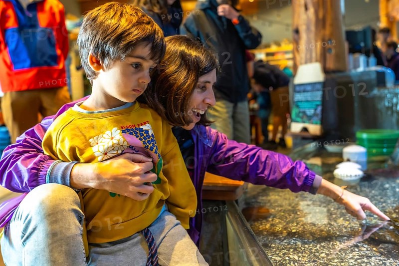 Mother holding her son while pointing at fascinating aquatic animals in a touch tank, fostering a memorable learning experience filled with exploration and discovery