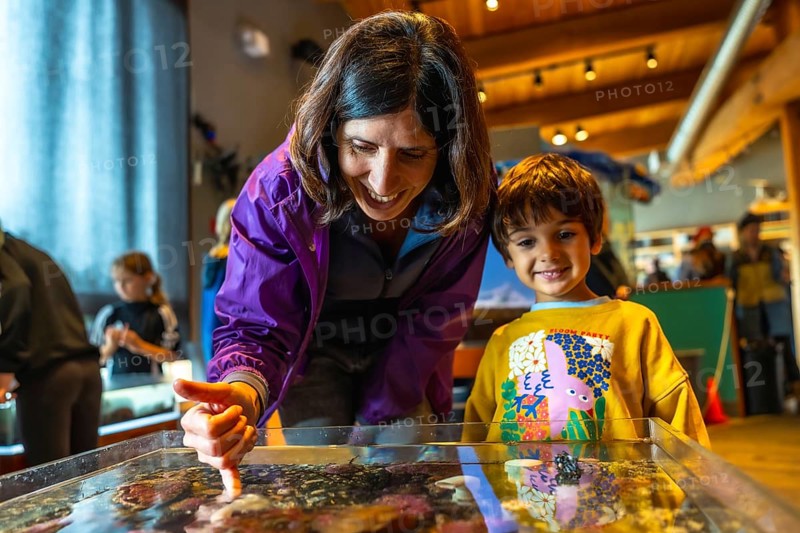 Mother pointing at sea creatures in touch tank, sharing educational moment with her son at the aquarium, fostering love for marine life and underwater world