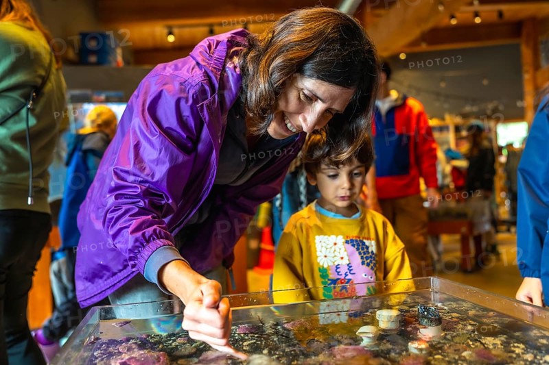 Mother pointing at marine life in a touch tank, sharing an educational moment with her son at an aquarium, fostering curiosity and appreciation for the underwater world