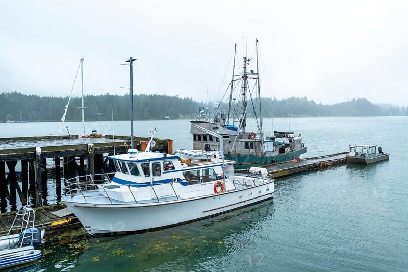 Fishing boats and various vessels moored at a pier on a foggy day, creating a tranquil and atmospheric scene filled with maritime activity and coastal beauty