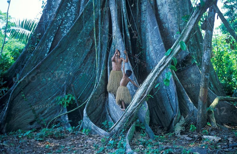 Two boys from a Yagua tribe living near Iquitos on the Amazon use the lianas of a giant tree as a swing, Peru, South America, September 1997, vintage, retro, old, historic