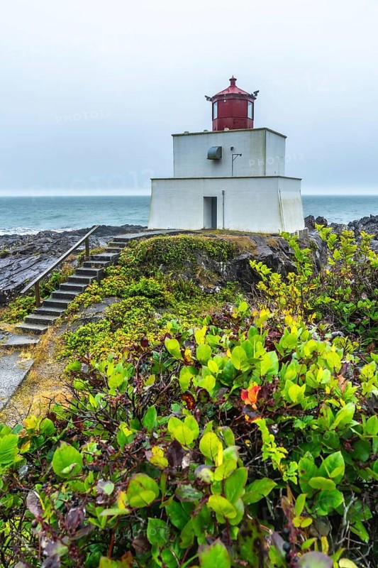 White lighthouse with a striking red top rising from a rocky shore, surrounded by lush green vegetation, overlooking a calm ocean beneath a cloudy sky on a misty day