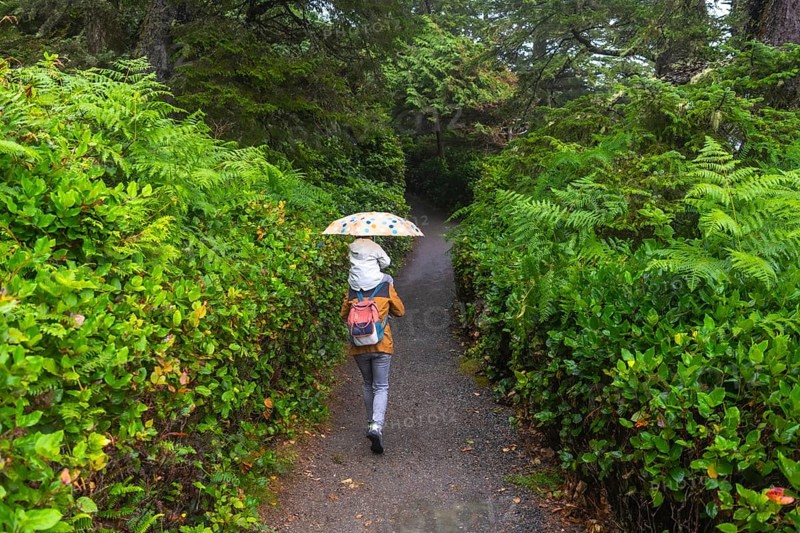 Mother carrying her child on her shoulders, holding an umbrella and walking on a path in a lush rainforest on vancouver island, british columbia, canada, enjoying a peaceful moment in nature