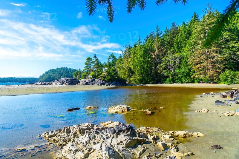 Crystal clear water gently caresses the sandy shores of mackenzie beach. Where lush evergreen forests meet the ocean in tofino. Creating a tranquil summer scene on vancouver island. British columbia