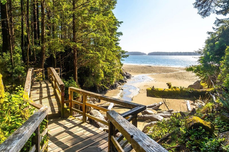 Sunlight filters through lush trees onto a wooden boardwalk, leading to a tranquil sandy beach in tofino, vancouver island, creating a serene coastal scene