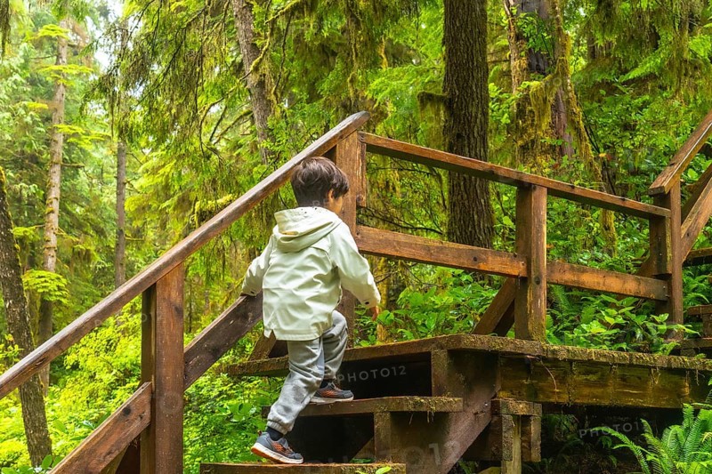 Young child ascending wooden steps on a lush rainforest trail, surrounded by vibrant green foliage and towering trees on vancouver island, british columbia, canada, exploring nature's beauty