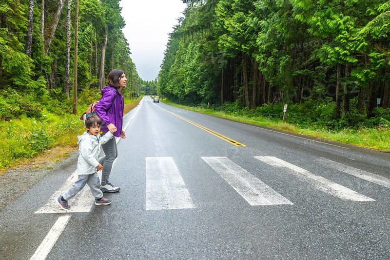 Mother and son crossing a paved road at a pedestrian crossing in a lush rainforest near ucluelet on vancouver island, highlighting road safety and family adventures