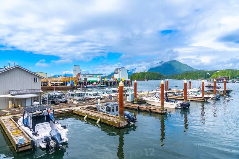 Fishing boats and yachts are docking at a pier in tofino, a small district municipality on the west coast of vancouver island in british columbia, canada, on a cloudy summer day