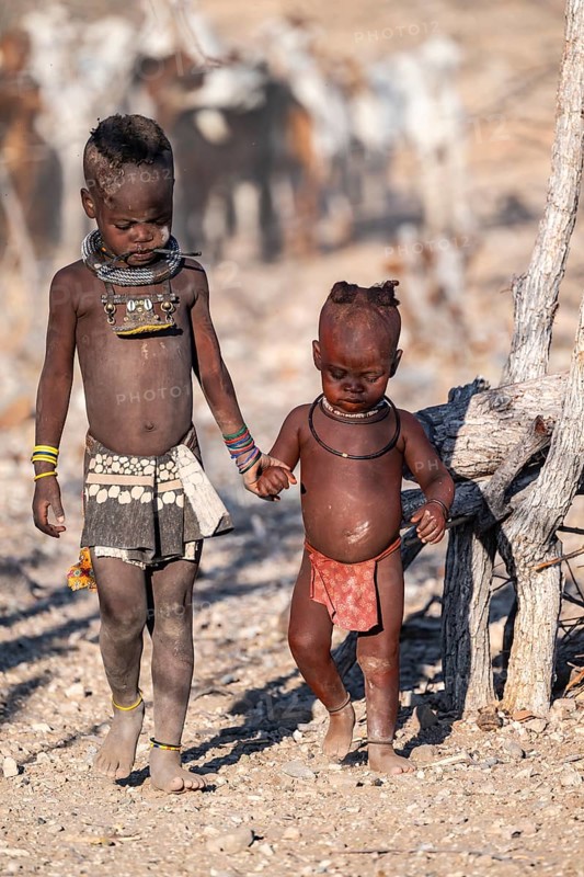 Himba children shake hands, traditional Himba village, Kaokoveld, Kunene, Namibia