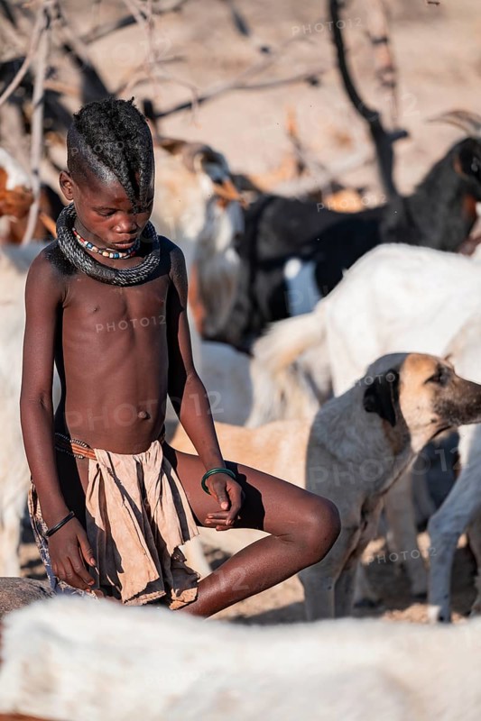 Himba children in the goat herd, traditional Himba village, Kaokoveld, Kunene, Namibia