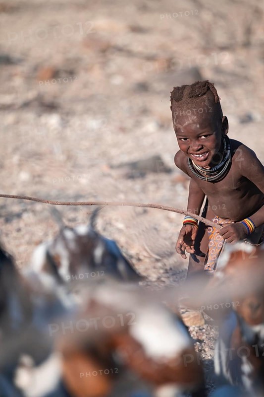 Himba child herding goats, traditional Himba village, Kaokoveld, Kunene, Namibia