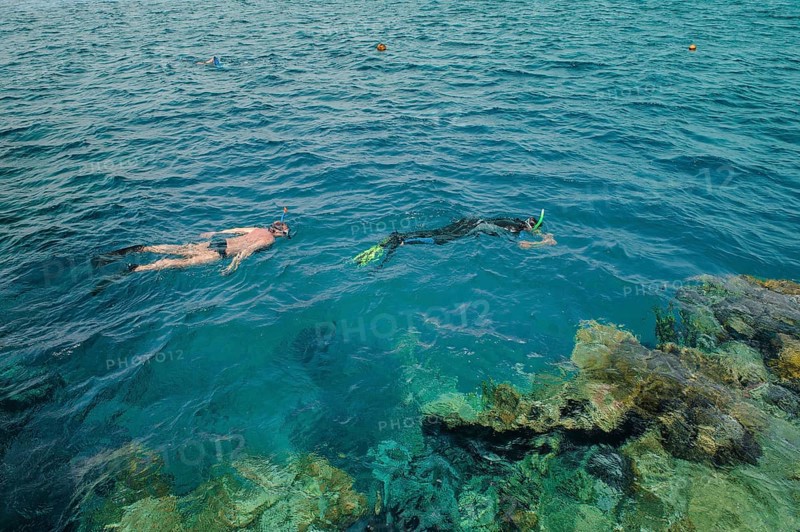 Two snorkelers snorkeling at water surface sea surface of the Red Sea, left man without sun protection in front of it person with thin wetsuit protects against intense sunlight sunburn, Red Sea, Egypt