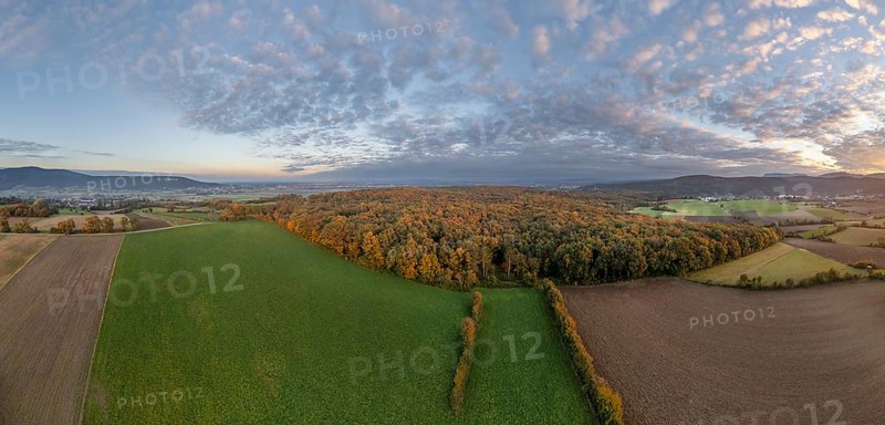 Aerial view of fields and autumn forest on Grossauer Höhe, Berndorf, Lower Austria, Austria