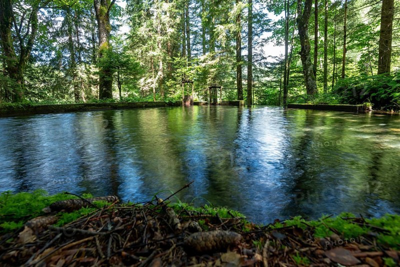 Clear mountain stream, spring basin, moss-covered shore, Zgornje Jezersko mountaineering village, Slovenia