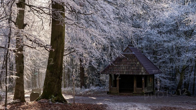 Winter forest with hoarfrost on Königstuhl mountain, refuge and hiking trails, Rhein-Neckar district, Baden-Württemberg, Germany
