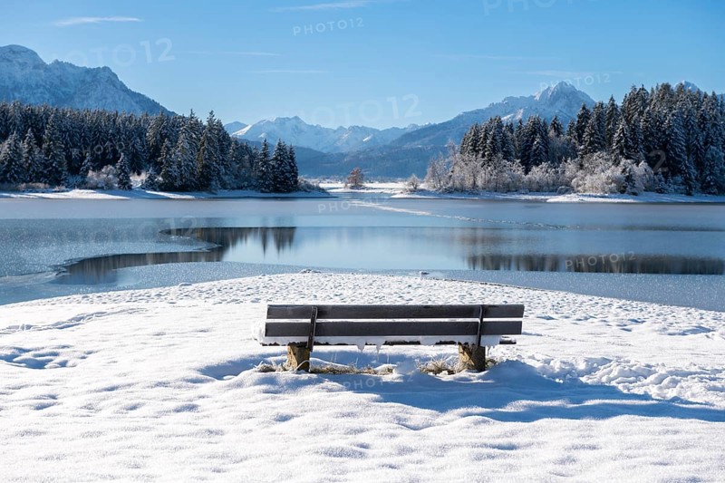 Snowy lakeside bench in front of picturesque mountain scenery, Forggensee near Roßhaupten, Ostallgäu, Allgäu, Bavaria, Germany