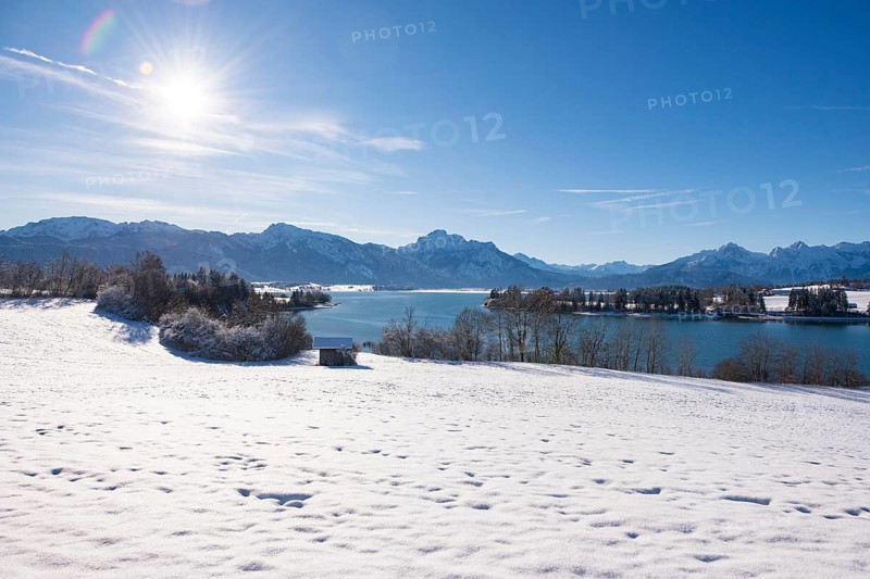 Winter landscape with a snowy field and a sunny sky over a quiet lake, Forggensee near Roßhaupten, Ostallgäu, Allgäu, Bavaria, Germany