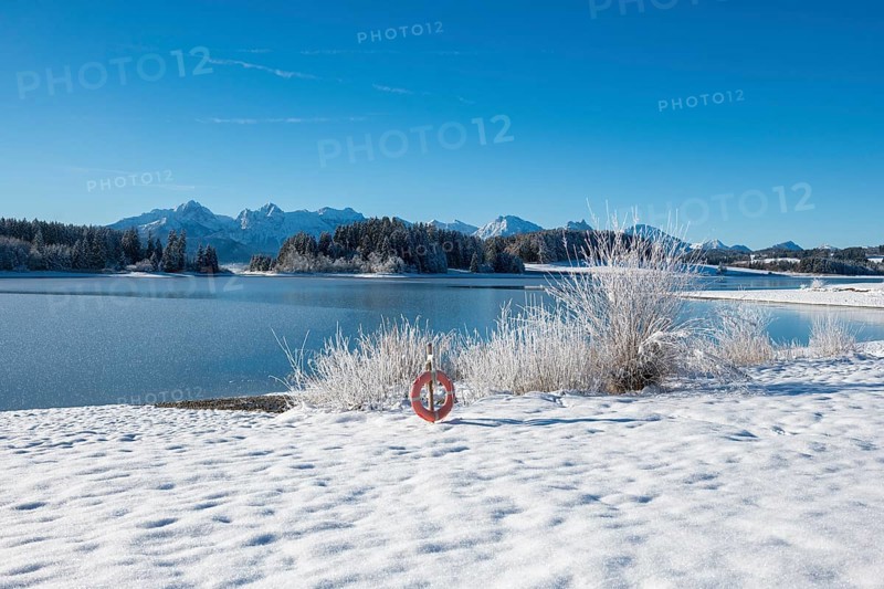 Snow-covered shore with view of snowy mountains through clear sky, Forggensee near Roßhaupten, Ostallgäu, Allgäu, Bavaria, Germany