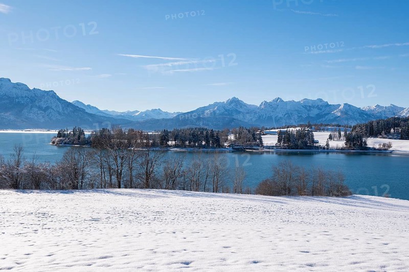 Snowy shore with a view of a quiet lake and mountains under a clear sky, Forggensee near Roßhaupten, Ostallgäu, Allgäu, Bavaria, Germany