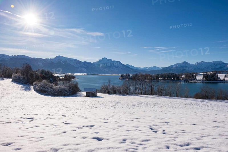 Snowy field with a view of a quiet lake and mountains under a bright sun, Forggensee near Roßhaupten, Ostallgäu, Allgäu, Bavaria, Germany