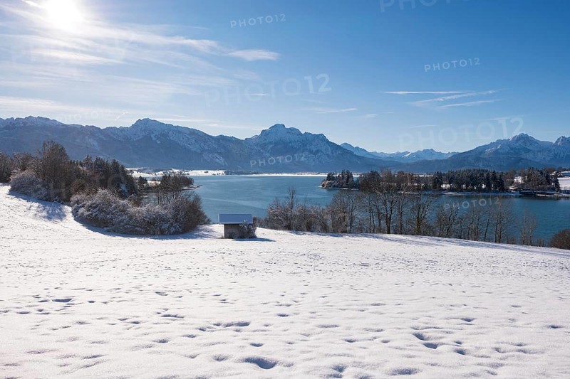 Clear winter panorama with snow, mountains and a calm lake under a blue sky, Forggensee near Roßhaupten, Ostallgäu, Allgäu, Bavaria, Germany