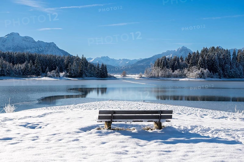 Snow-covered bench on a quiet lake with mountain panorama, Forggensee near Roßhaupten, Ostallgäu, Allgäu, Bavaria, Germany