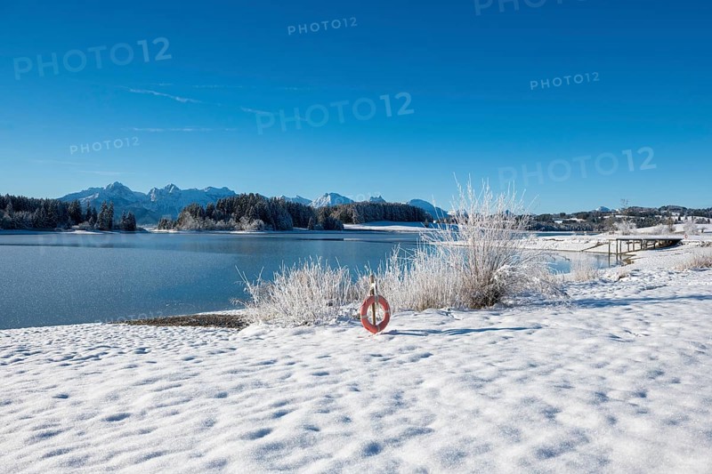 Snowy lake with a clear view of distant mountains, Forggensee near Roßhaupten, Ostallgäu, Allgäu, Bavaria, Germany