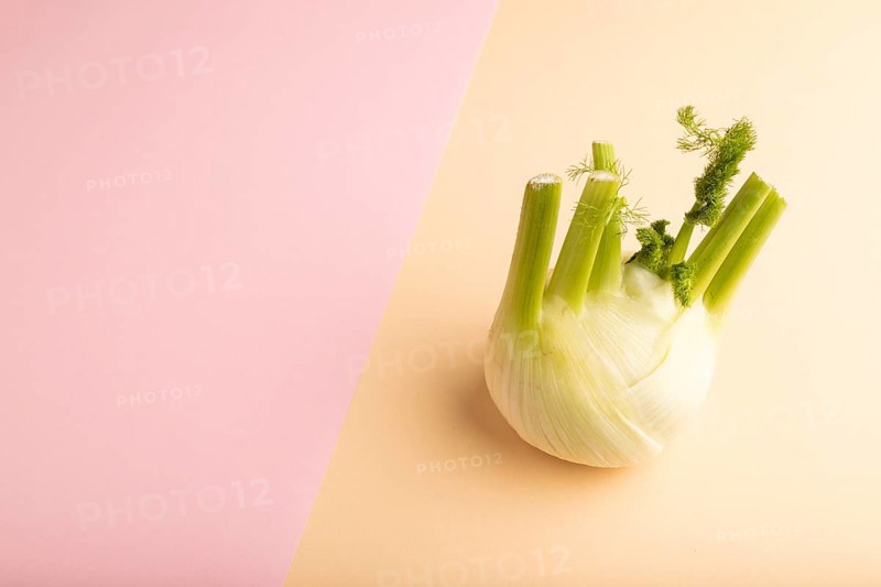 Fresh Fennel bulb on pink and orange pastel paper background, side view, copy space, minimalism