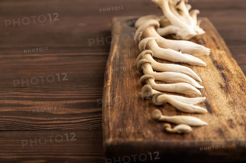 Raw Oyster mushroom, Pleurotus ostreatus on cutting board on brown wooden background. Side view, copy space, minimalism