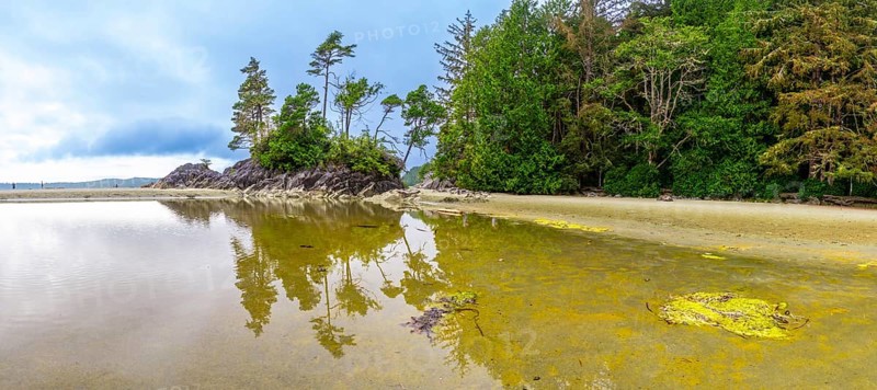 Tranquil ocean waters reflecting trees and sky create a serene beach scene in tofino, showcasing the peaceful natural beauty of vancouver island, canadas stunning coastline