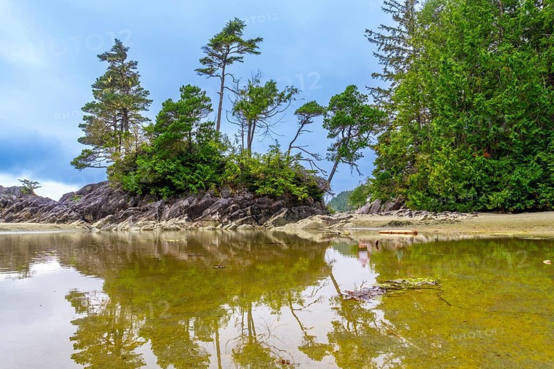 Serene coastal landscape showcasing a small rocky islet adorned with lush green vegetation, its reflection mirrored in the calm, shallow waters under a soft, cloudy sky in tofino, british columbia