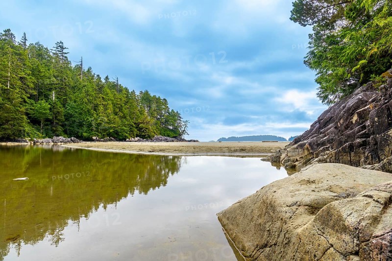 Tranquil ocean inlet reflecting trees and sky on a cloudy day in tofino, a popular tourist destination on vancouver island, british columbia, canada