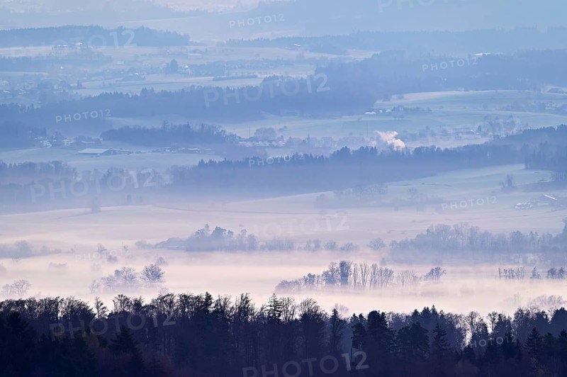 Meadows and trees in early fog, Reusstal, Merenschwand, Canton of Aargau, Switzerland