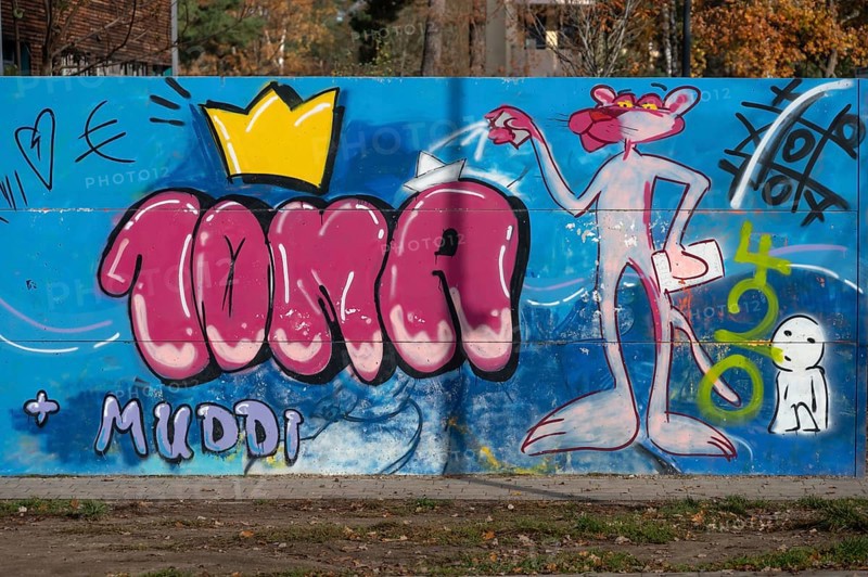 Graffiti with Paulchen Panther in the schoolyard of a secondary school, Röthebach, Middle Franconia, Bavaria, Germany