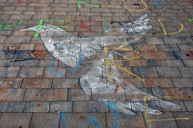 Painting of a peace dove on the pavement of the schoolyard of a secondary school, Röthebach, Middle Franconia, Bavaria, Germany