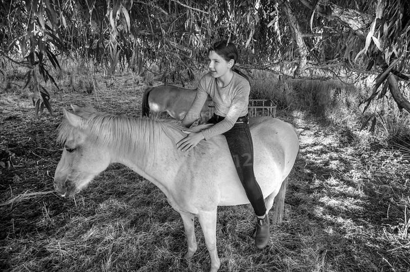 Young girl sitting on her white mare under a willow (Salix), black and white, Othenstorf, Mecklenburg-Vorpommern, Germany