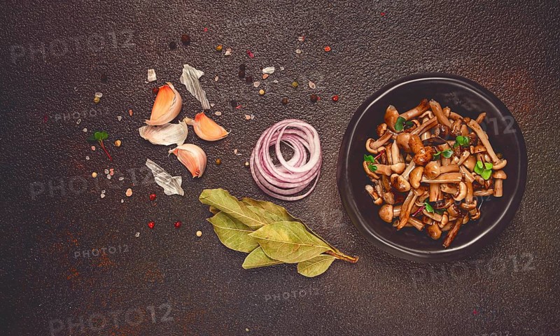 Pickled honey mushrooms, in a bowl, homemade, top view, no people