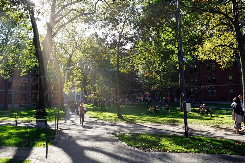 Passers-by, students in Harvard Yard, sunbeams, campus, Harvard University, Cambridge, Greater Boston, Massachusetts, New England, USA