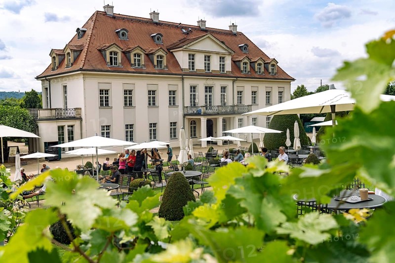 The Saxon State Winery Schloss Wackerbarth or Wackerbarth's Ruh' with Baroque Castle in Niederlößnitz, Radebeul, Saxony, Germany