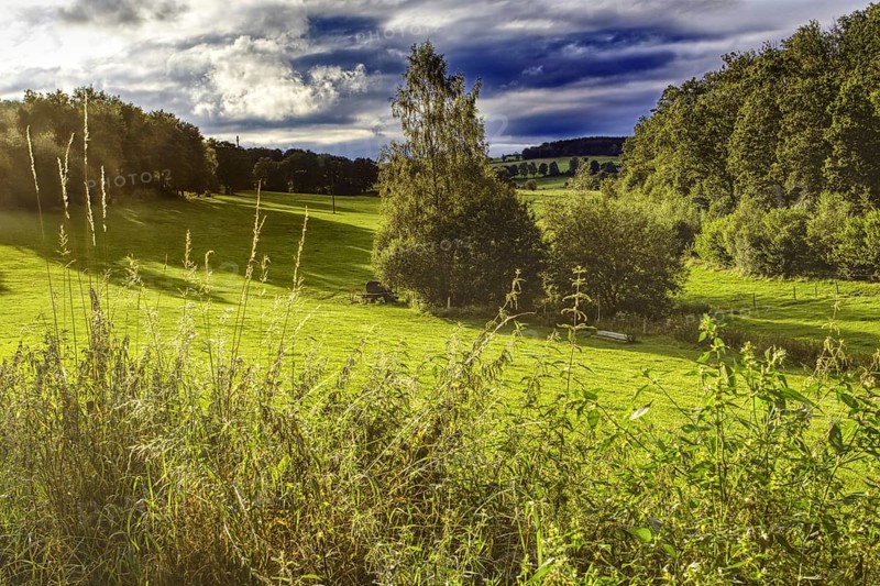 Green meadow with wooded background in sunlight under dramatic sky, Siegen