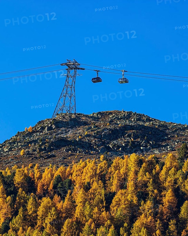 Gondolas and cable car route from Grimentz to the Espace Weisshorn mountain station, above autumn trees, Val d'Anniviers, Valais Alps, Canton of Valais, Switzerland