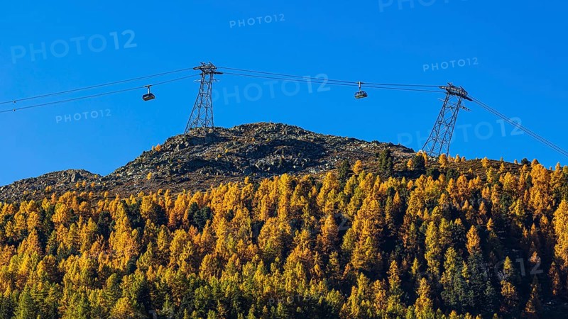 Gondolas and cable car route from Grimentz to the Espace Weisshorn mountain station, above autumn trees, Val d'Anniviers, Valais Alps, Canton of Valais, Switzerland