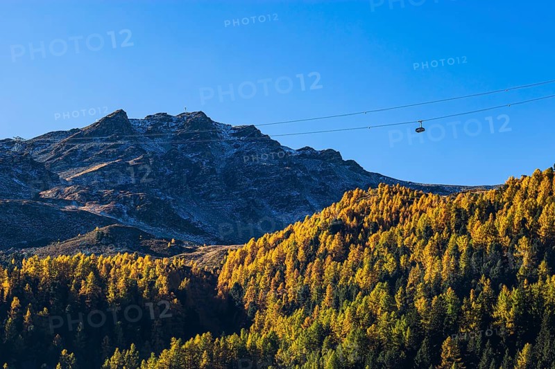 Gondola and cable car route from Grimentz to the Espace Weisshorn mountain station, above autumn trees, Val d'Anniviers, Valais Alps, Canton of Valais, Switzerland