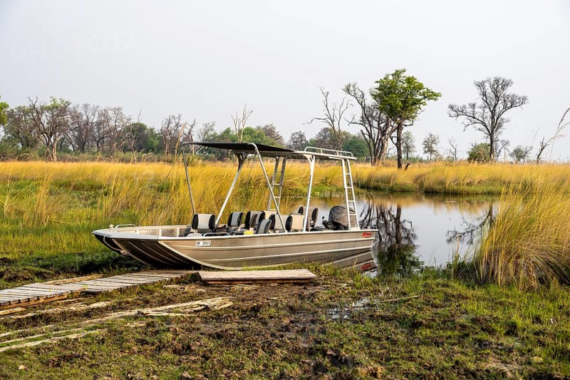 Safari by boat, Xakanaxa Lagoon, Okavango Delta, Moremi Game Reserve, Botswana