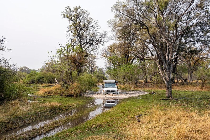 Safari car, off-road car driving through a river, Xakanaxa, Moremi Game Reserve, Botswana