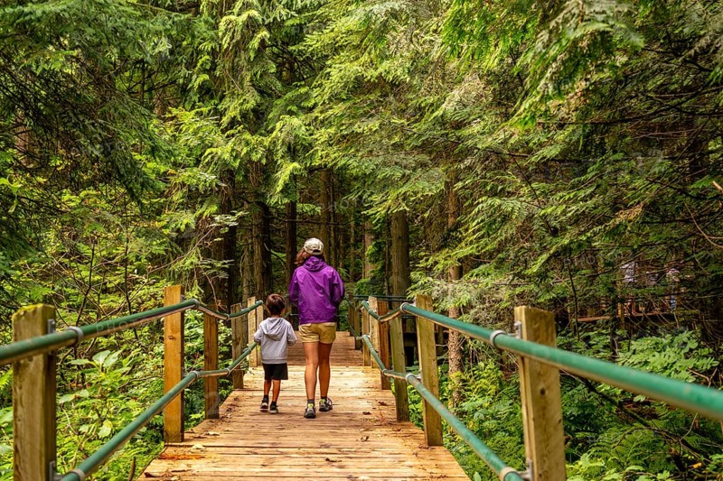 Mother and son walking along the hemlock grove boardwalk, soaking in the vibrant greenery of the canadian rockies on a stunning summer day, surrounded by nature's beauty