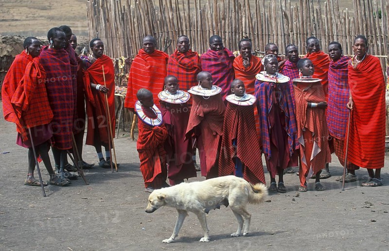 Maasai men and girls in their village, dog, Ngorongoro crater, Tanzania, Africa, June 2000, vintage, retro, old, historic