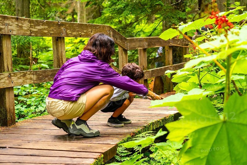 Mother and son crouching on wooden boardwalk trail, exploring nature and pointing at something interesting in lush green forest, enjoying quality time together during outdoor adventure