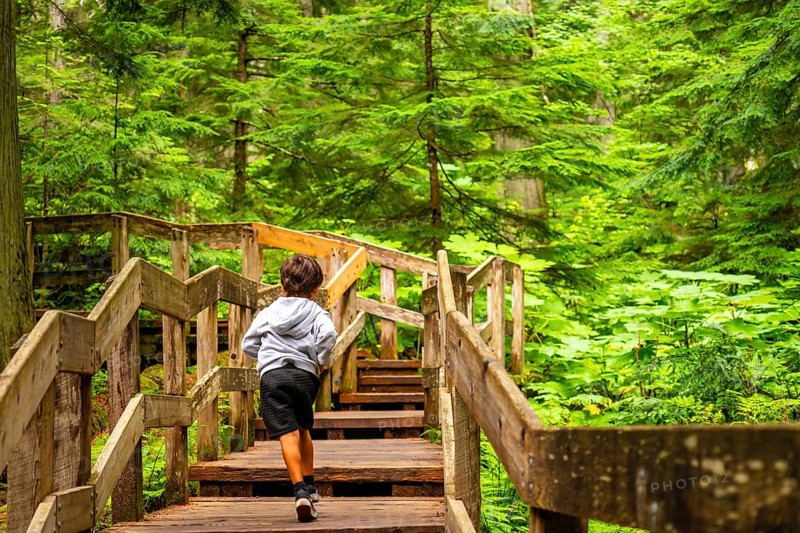 Young child running up wooden steps on the giant cedars boardwalk trail, surrounded by lush green forest in mount revelstoke national park, british columbia, canada, enjoying a summer day outdoors